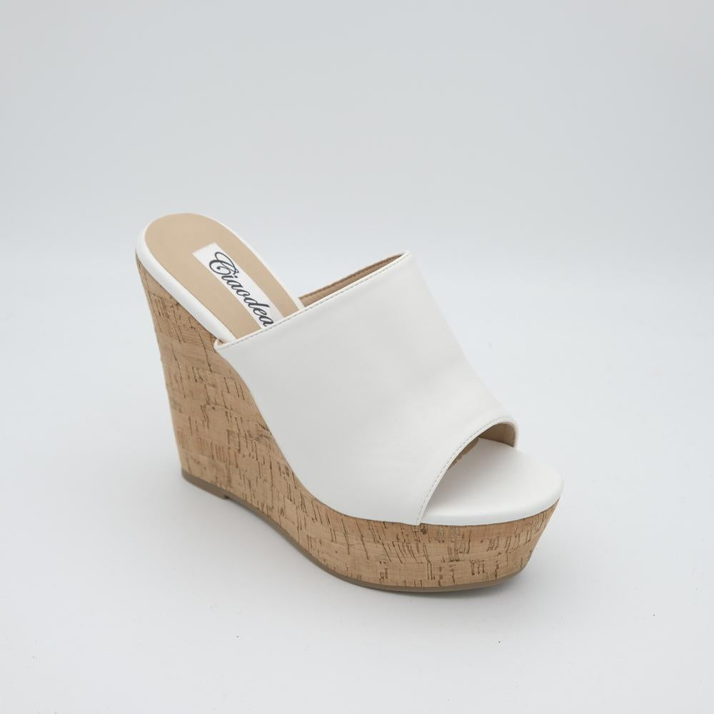 02089_8|b0567d9b11373deb3f5f9eb0ae8a7e46